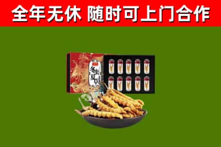 襄阳回收冬虫夏草价格